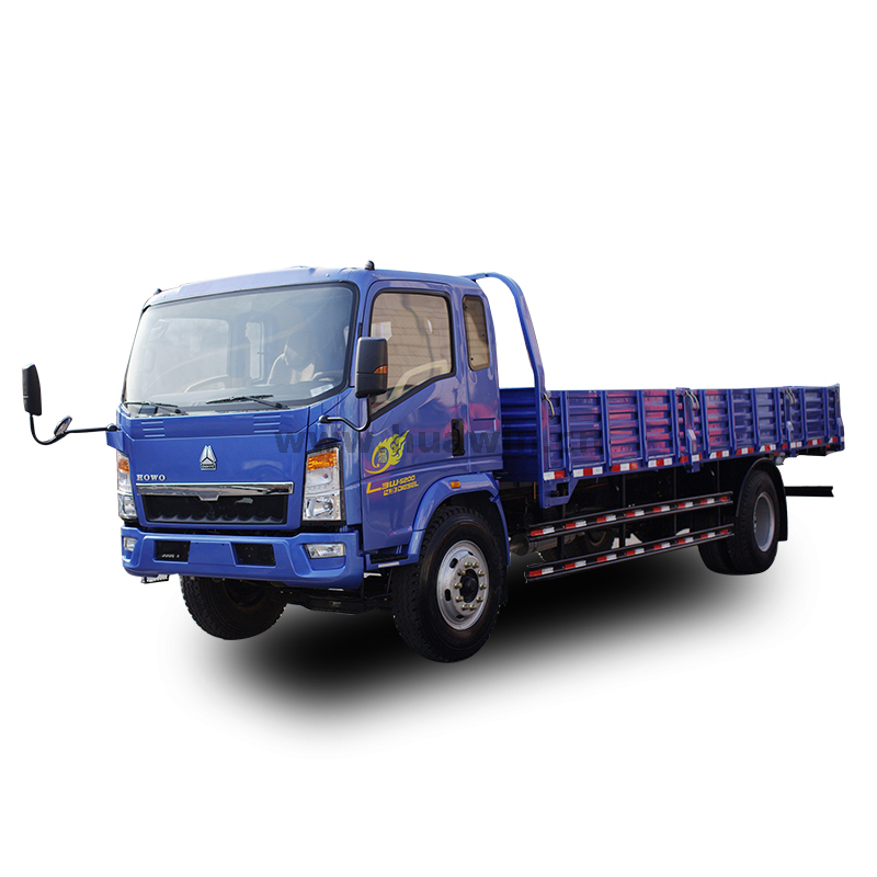 HOWO 4X2 Light Duty Cargo Truck شاحنة لوري
